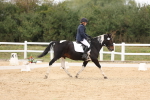 SBM_00885