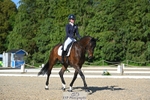 263-CARWARTHEN_HARRIER-Polly_Muirhead-WEDTrotUp+DR portfolio