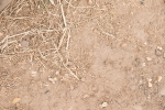 SBM_02741