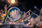z4234 Ice Fern Bubble