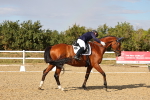 SBM_007510