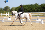 SBM_009641