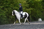 WJ5_9526