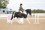 SBM_14741
