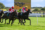 080926-Race 6-Filey Beach-3126
