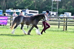 SBM_10060