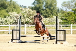 SBM_007100
