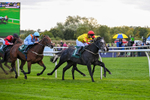 171026-Race 5-Brighton Boy-5975