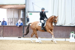 SBM_001011