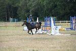 WJ6_8465