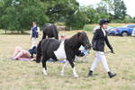 WJ6_5194