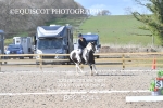 BPP_9944