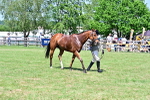 SBM_18187