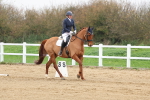 SBM_007659