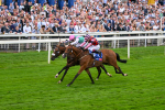 230825-Race 2-Tarriance-0031