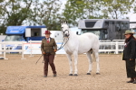 SBM_10383
