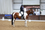 SBM_006017