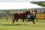 SBM_00673