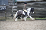 SBM_007957