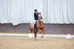 SBM_008238