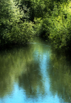 13th May River Frome