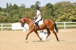 SBM_010234