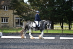 WJ5_9088