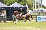 SBM_15532