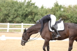 SBM_006299