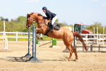 SBM_001483