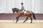 SBM_001153