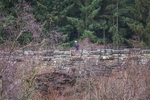 HTE Winter 10-297