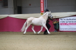 SBM_00197