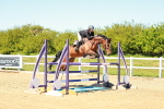 SBM_001385