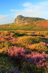 Colours of Haytor