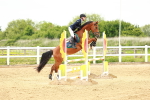 SBM_000778