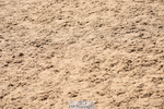 230906A-135122-00507