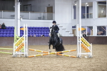 SBM_003311