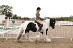 SBM_04180