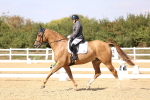 SBM_015079