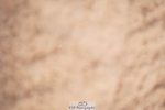 240506A-111156-08526