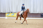 SBM_000733