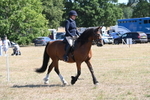 WJ6_8227