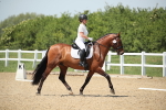 SBM_009608