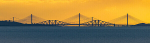 Forth Bridges