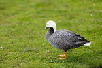 20140419-3K8A0398