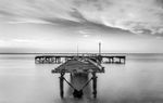 IMG_3647-bw-v3-resized