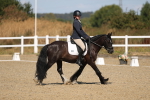 SBM_013525