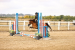 SBM_005797