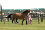 SBM_02067